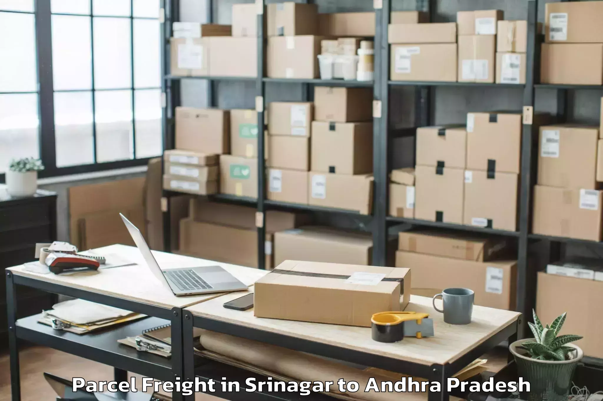 Top Srinagar to Ongole Parcel Freight Available